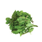 Dandelion, Italian - Image 2